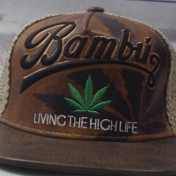 *ON HOLD* Bambu Cap - Adjustable - Picture 1 of 4